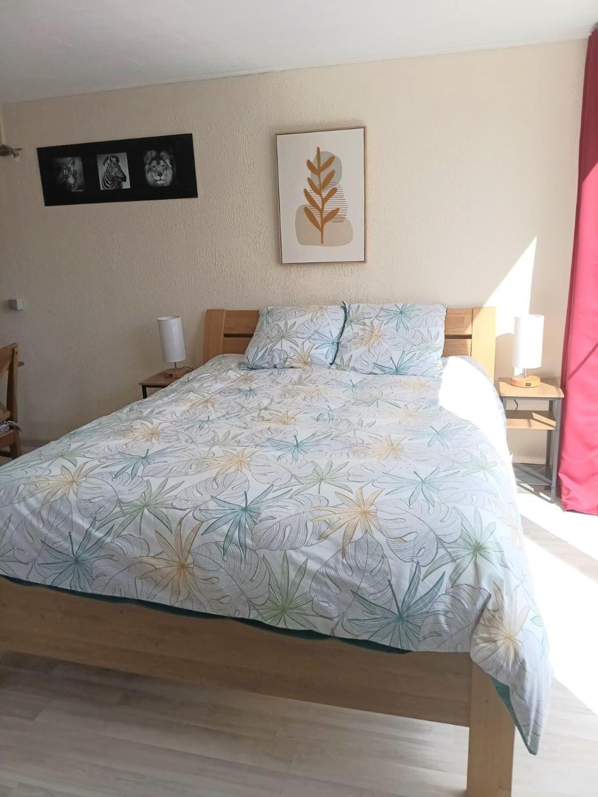 3 Studios - 3 Ambiances - Tout Confort - Piscine Ouverte Juillet Aout - Zwembad Open July Augustus Han-sur-Lesse Zimmer foto